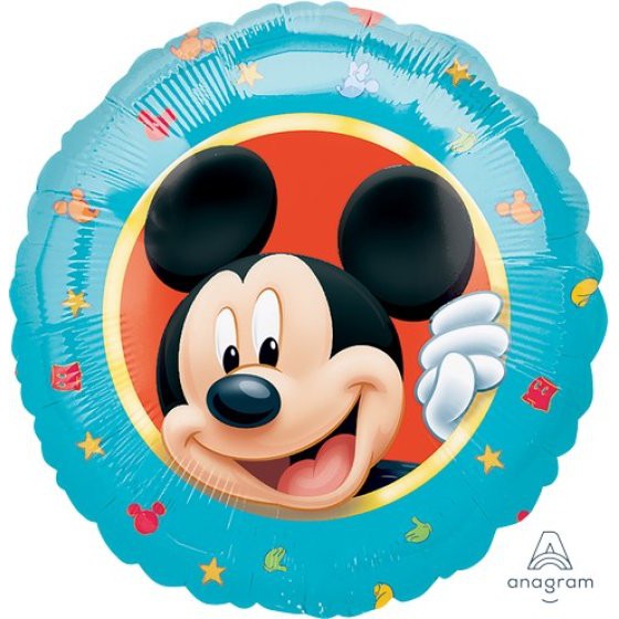 45CM STANDARD HX MICKEY PORTRAIT