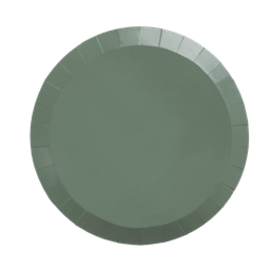 FS Paper Round Banquet Plate 10.5" Eucalyptus 20pk