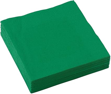 B/Napkin 20CT 2PLY - Festive Green