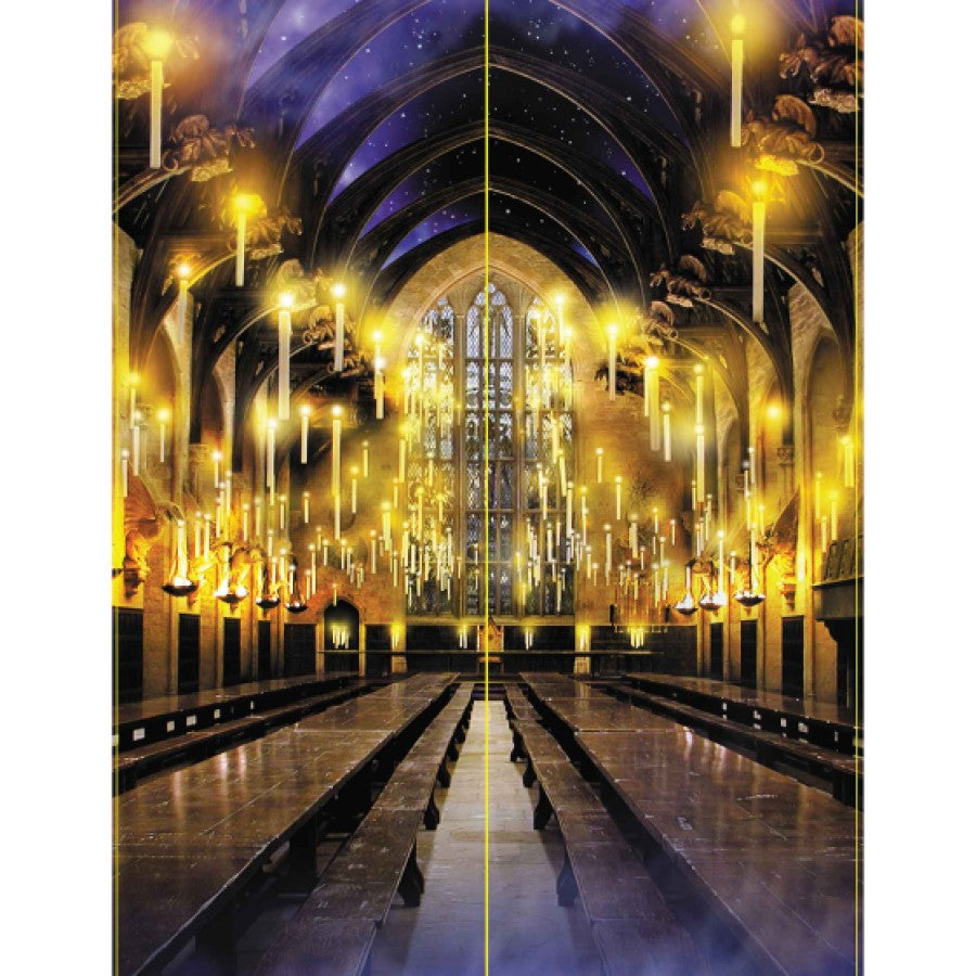 HARRY POTTER SCENE SETTER 2PC