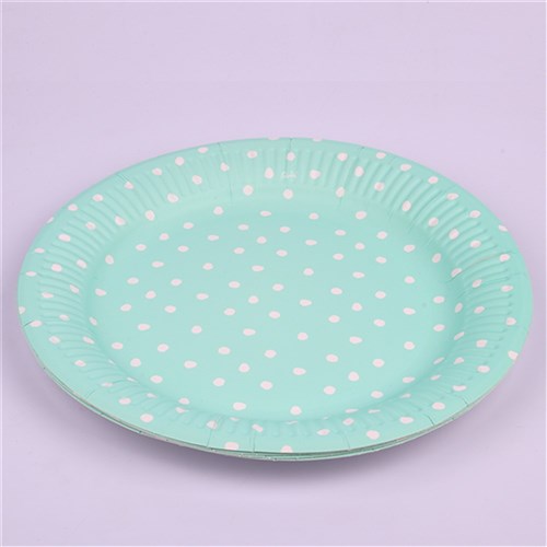 12PK 23CM MINT DOTTY PAPER PLATES