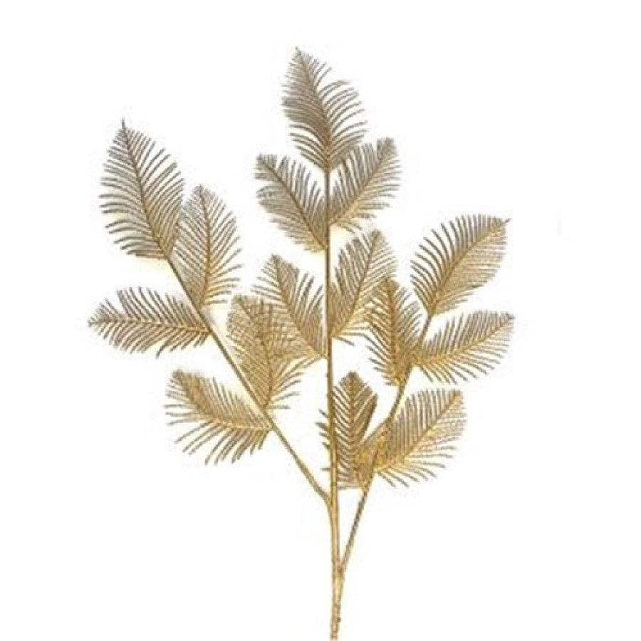 Gold Wattle Stem 60cm