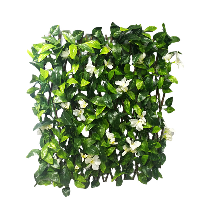 FOLIAGE - LATTICE W/STAR JASMINE 70CM 18CE