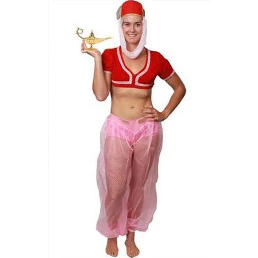 Genie In A Bottle Costume Medium